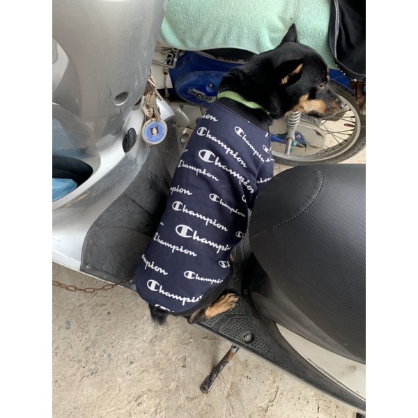 Áo nỉ Champion cho thú cưng