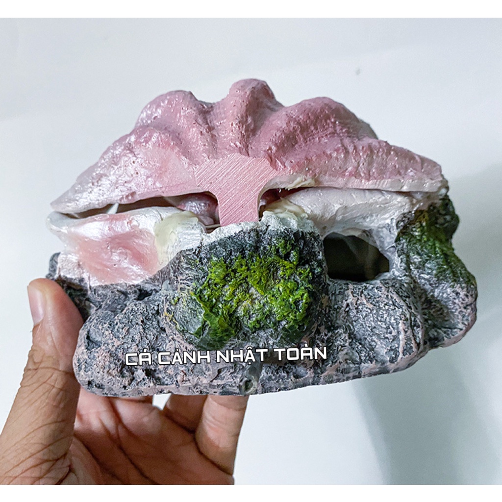 SÒ ĐÓNG MỞ NẮP TRANG TRÍ BỂ CÁ CẢNH DÀI 15CM