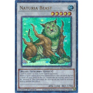 Thẻ Bài YuGiOh Naturia Beast - HAC1-EN120 - Duel Terminal Ultra Rare Parallel 1st Edition