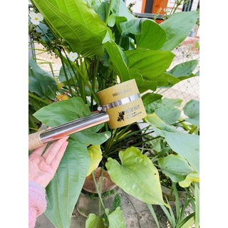 Ống hơ ngải cứu TRE, đôi, CÓ LƯỚI CHÓNG BỎNG