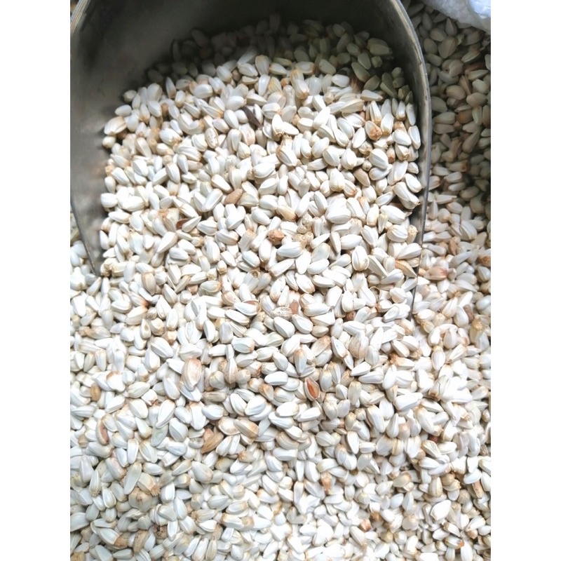 Hạt Kham- Thức ăn cho gà,vẹt,hamster, chim