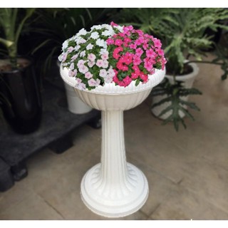 CHẬU NHỰA CHÂN ĐẾ CAO DK 45cm cao 78cm
