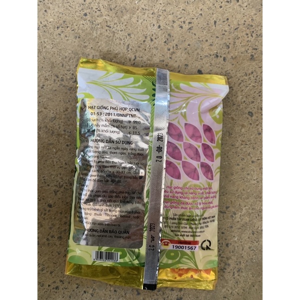 Hạt giống ngô nếp dẻo HN88