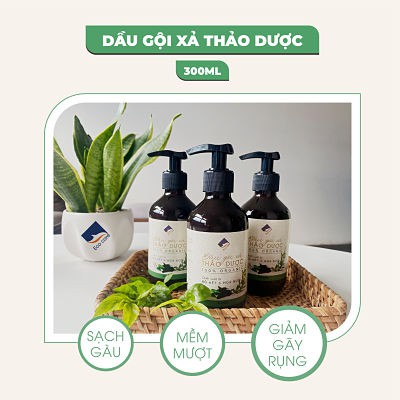 [Mã FMCGMALL -8% đơn 250K] Dầu gội xả thảo dược Bồ kết hoa bưởi ECOCARE 300ml, dầu gội thảo mộc tinh dầu hoa bưởi