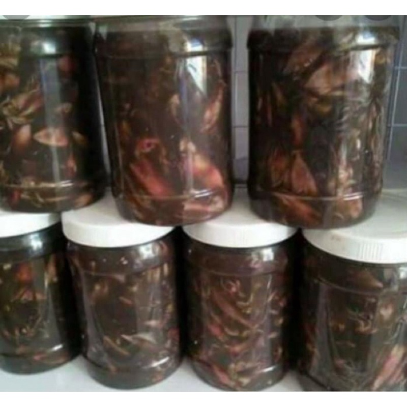 Mắm Mực Nguyên Con Bình Định, Đặc Sản Tam Quan Bình Định