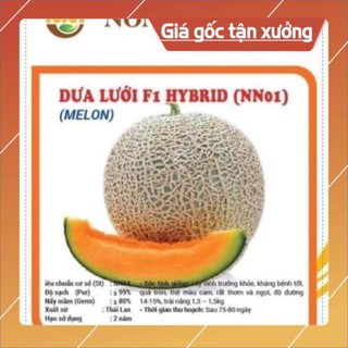 HẠT GIỐNG DƯA LƯỚI F1 RUỘT CAM SIÊU NGỌT - 20 hạt