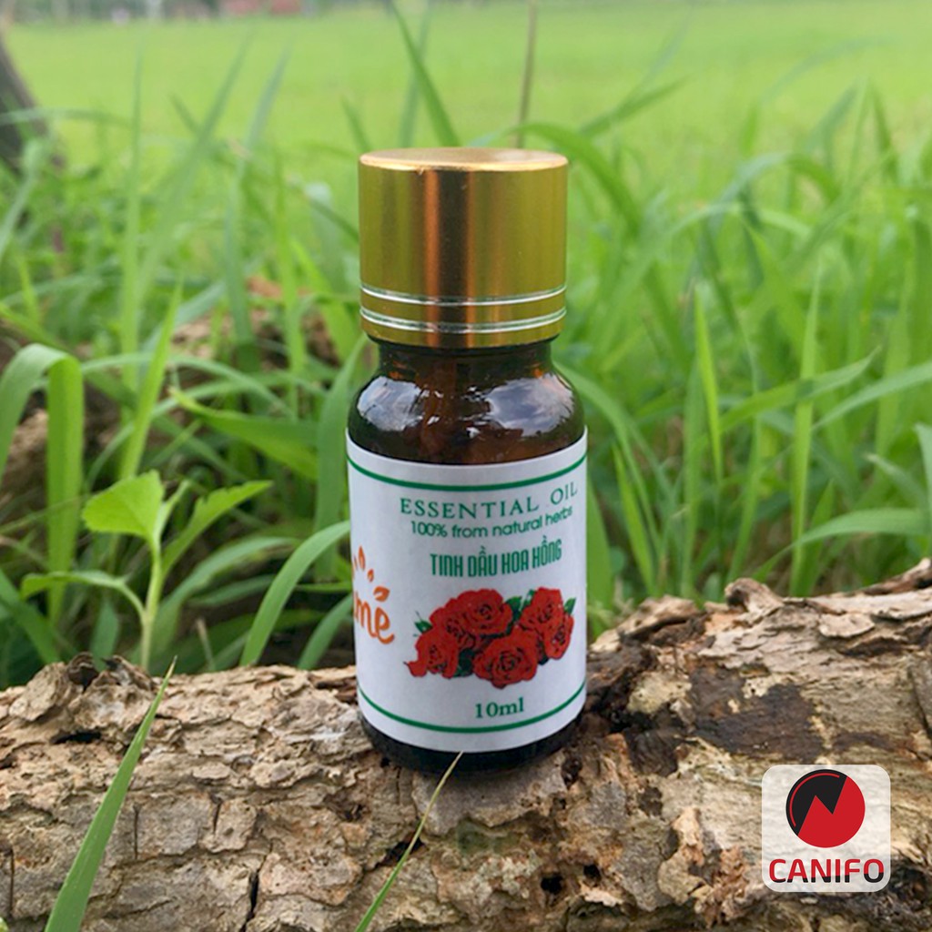 Tinh dầu HOA HỒNG 10ml - Giúp thư giãn, cân bằng cảm xúc