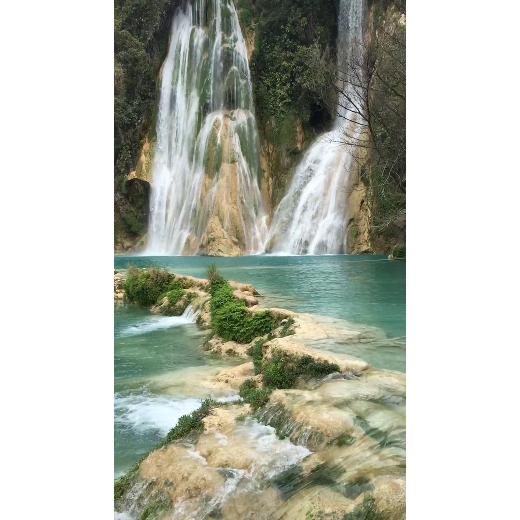 Bộ Tranh Sơn Dầu Trang Trí Tự Làm Hình Lâu Đài Và Hoa 40*50CM