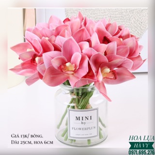 Hoa Lụa | ĐỊA LAN NHÍ (Ảnh thật shop chụp)