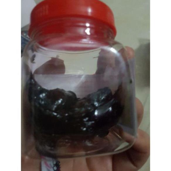 ( khuyến mại ) Keo bẫy chim siêu dính ( đại hạ giá )