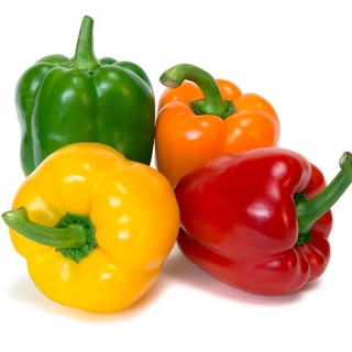 #Hạt_Giống_Ớt_Chuông_Mix F1