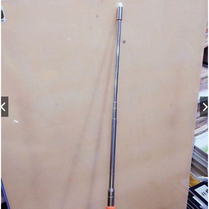 Cây chỉ bảng giáo viên