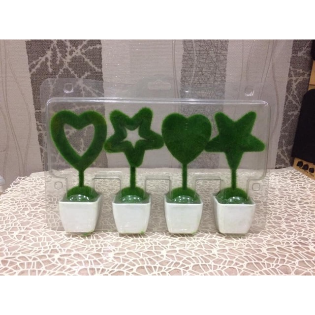 Combo chậu mini nhung xanh