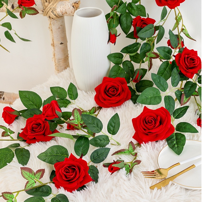 Dây leo hoa hồng nhung đỏ sang trọng