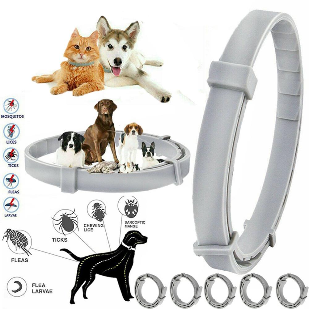 Vòng Cổ Chống Muỗi Dễ Thương Cho Thú Cưng