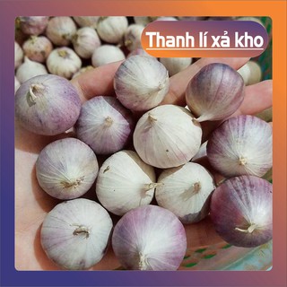 Tỏi cô đơn Phan Rang làm tỏi đen