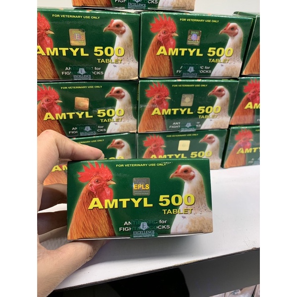 AMTYL 500 - Tri tang cho gà đá