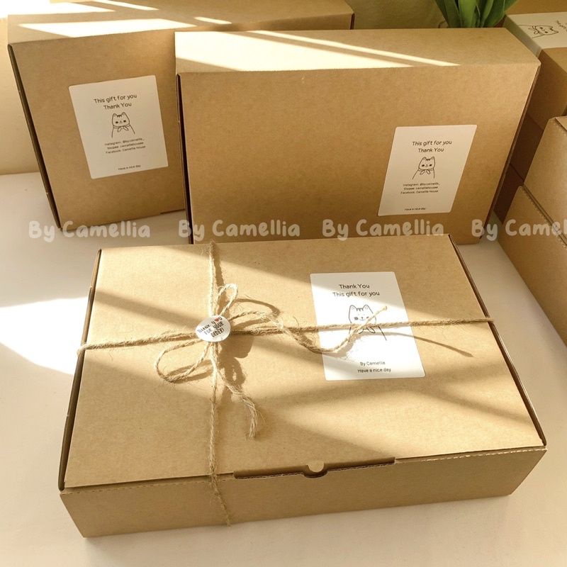 25x20x6cm, hộp carton nắp gài, hộp quà tặng, đựng quần áo giá xưởng