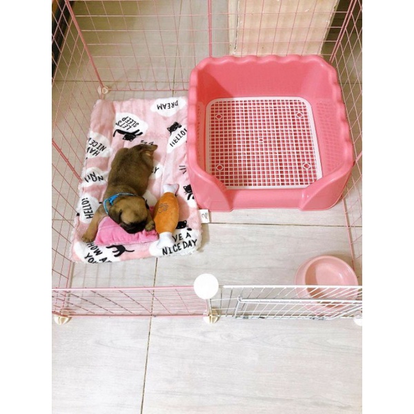 Chuồng Thú Cưng Lắp Ghép 8 Tấm Có Cửa (Tặng Kèm Chốt), Tấm Ghép Lồng (KT 70x70cm cao 35)