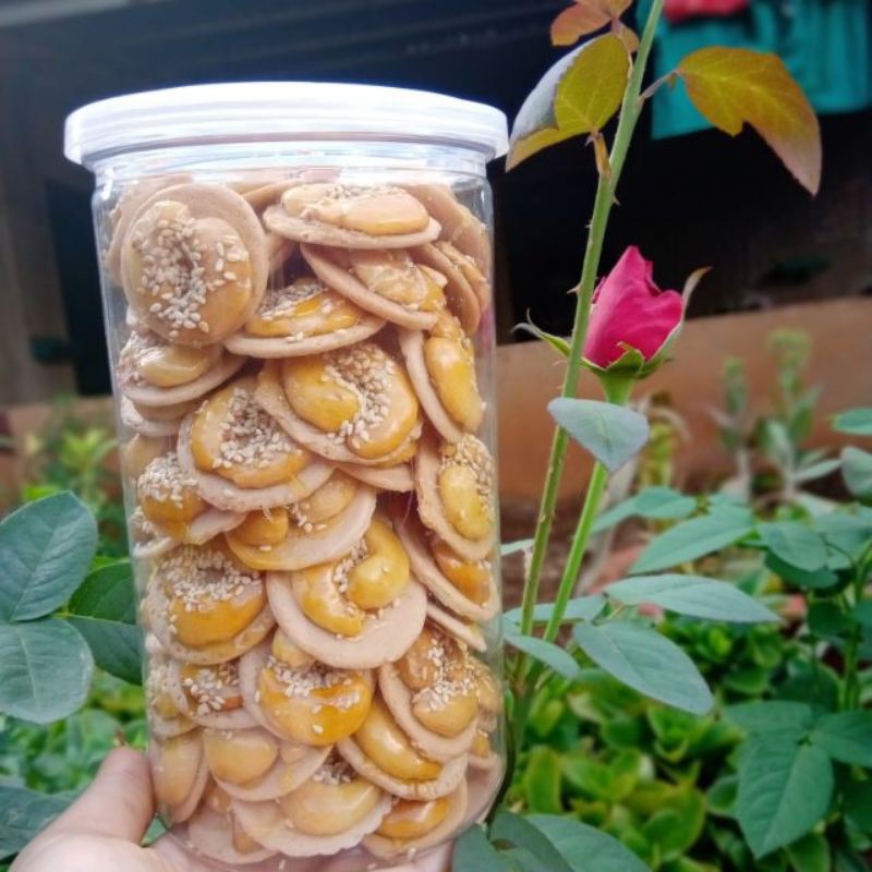 Bánh hạt điều đồng tiền ngon giòn hũ 500g