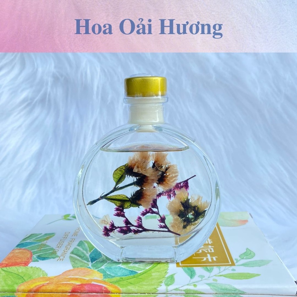 Lọ tinh dầu thơm để phòng nước hoa thơm phòng kèm que khuếch tán - TD38