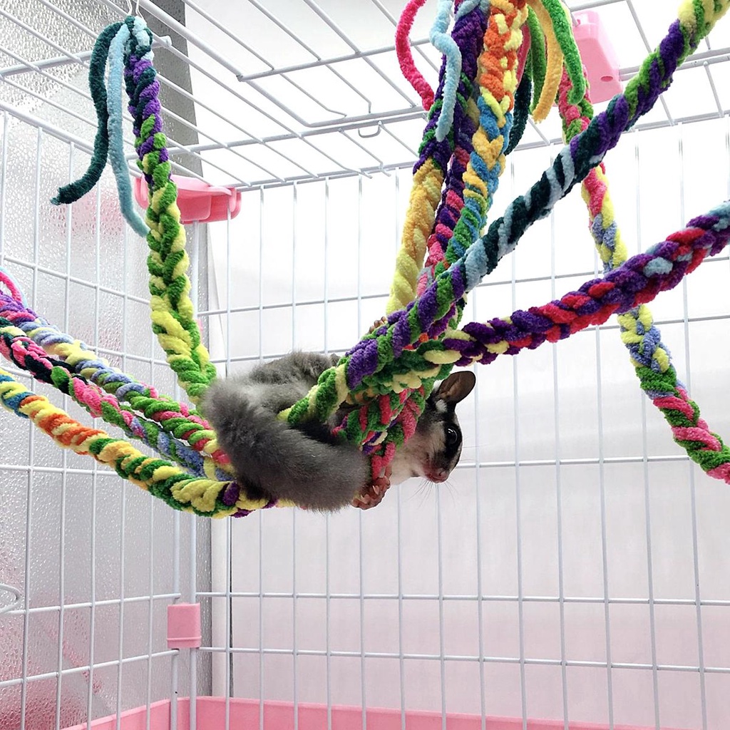 Đồ Chơi Dây Thừng Treo Nhiều Màu Sắc Vui Nhộn Cho Chim Cảnh