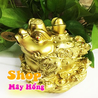 Thiềm thừ cóc ngậm tiền cao 11 cm x rộng 13 cm nặng  mang tài lộc cho mọi người
