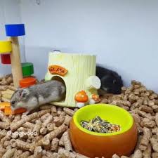 viên nén gỗ lót chuồng cho thỏ - bọ- hamster