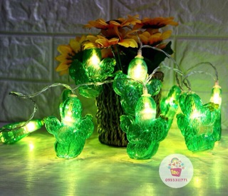 DÂY ĐÈN CACTUS