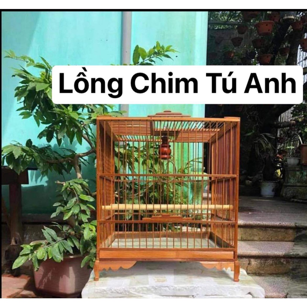 Khung lồng chim chào mào thái đấu, vuống đấu HM trúc già cật vàng đã qua xử lý màu KL02