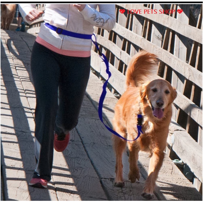 DÂY DẮT CHÓ MÈO ĐA NĂNG, DÂY DẮT CHÓ MÈO CÓ ĐAI GẮN VÀO BỤNG CHỦ NHÂN &quot;MẪU MỚI&quot; - LOVE PETS SHOP