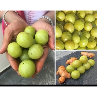 Bột Amla Viethealthy 200g