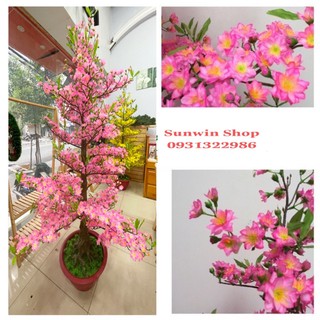 CHẬU HOA ĐÀO GIẢ CAO 1M65-CÂY HOA ĐÀO TRANG TRÍ TẾT HD7