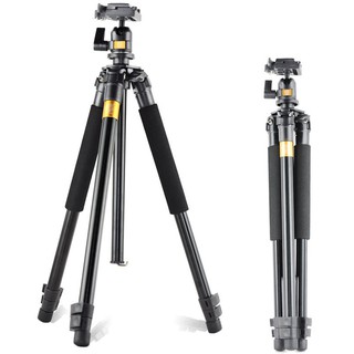 Chân máy ảnh chuyên nghiệp Tripod Beike Q308 Minh Đức