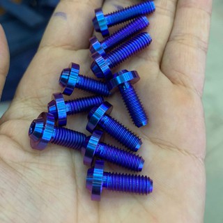 Ốc GR5 Titanium 6 ly 1,5 hoặc 2 phân dù nhỏ (M6*15, 6*20) bắt bảng tên và nhiều vị trí khác