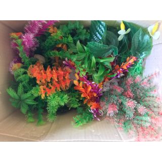 Cây Rong Giả Trang Trí Bể Cá