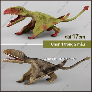 Mô Hình Khủng Long Thằn Lằn Bay Dimorphodon - 7748