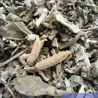 Cây An Xoa(cây thuốc nam)