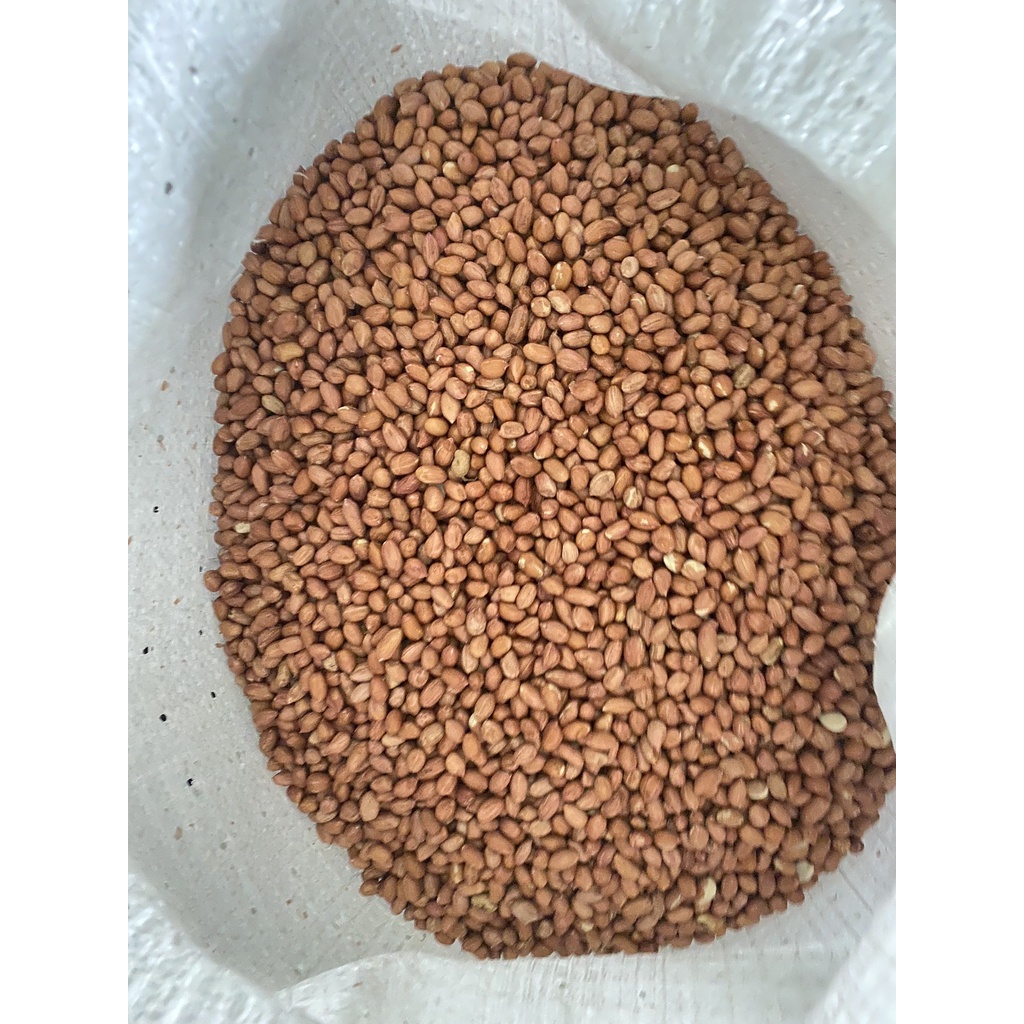 1KG ĐẬU PHỘNG NHÂN, lạc nhân trắng - Nhà máy sản xuất và đóng gói hàng nông sản xuất khẩu