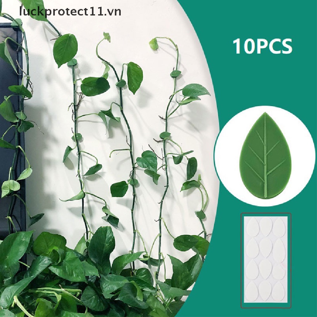 Bộ 10 Kẹp Cố Định Cây Leo Tự Dính 11