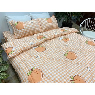 Bộ sét chăn phao 5 món cotton poly Đào kẻ