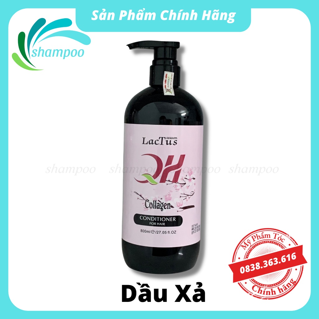 Dầu gội đầu ngăn rụng tóc QH Lactus season dầu gội da dầu, ngăn gàu 800ml