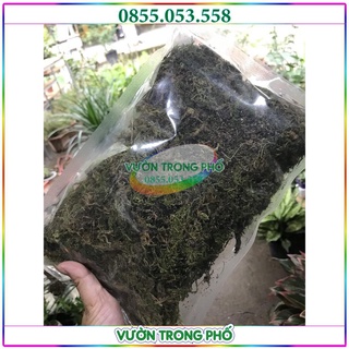 Combo 2 túi rêu rừng trồng lan