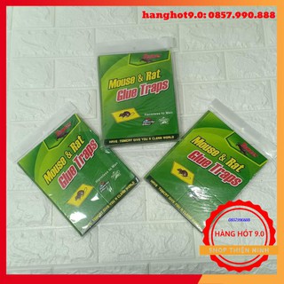 Combo 10 miếng dính chuột cao cấp