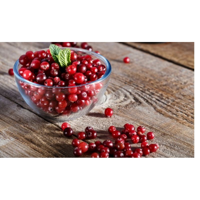 NAM VIỆT QUẤT_ CRANBERRIES MỸ 100G LÀM BÁNH KẸO NOUGAT ĂN VẶT ĂN KIÊNG