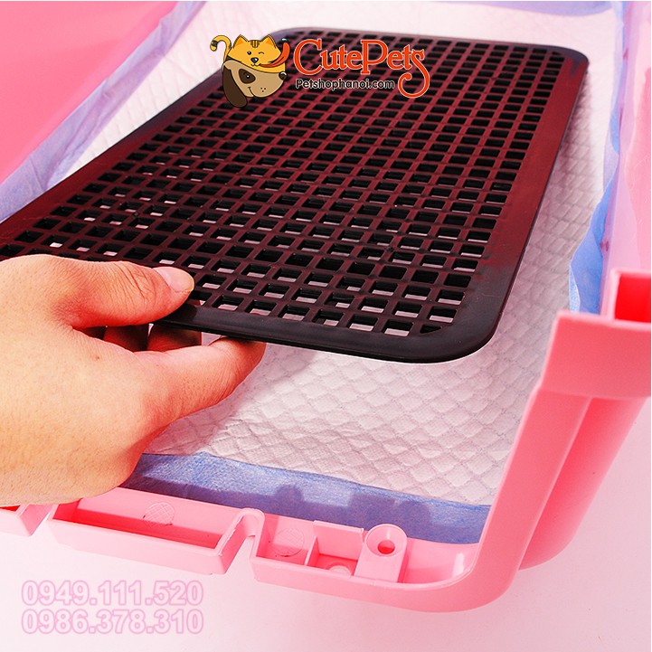 Lồng vận chuyển hàng không Size M 51x33x34cm dành cho thú cưng - Cutepets