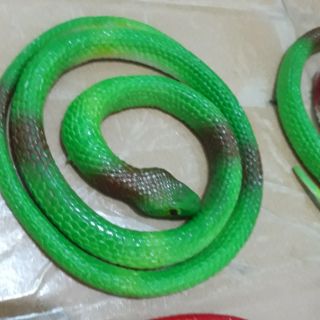 Rắn mủ 3D mô phỏng rắn thật