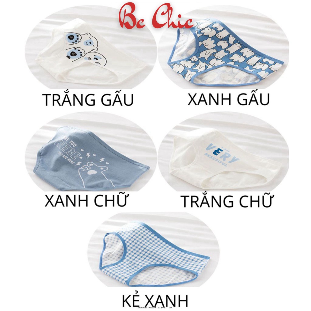 Quần Lót Nữ dễ thương set gấu đáng yêu kháng khuẩn thoáng mát tôn dáng co dãn mã Q107 BC_CHIC LINGERIE