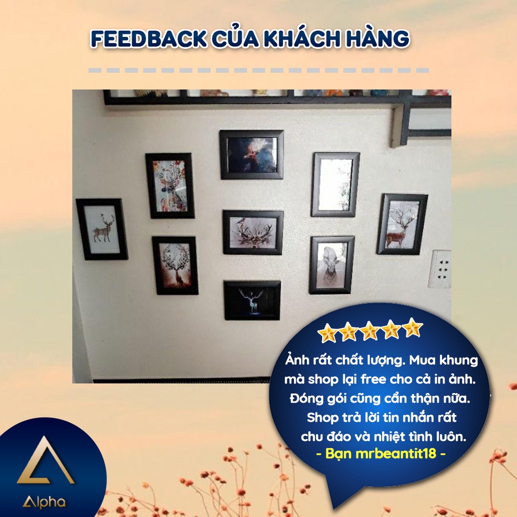 Bộ 9 khung tranh B6 mặt kính treo tường ALPHA 9B6, khung ảnh cưới 13x18cm giá rẻ, in ảnh miễn phí