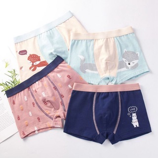 Combo 4 quần lót bé trai đủ size 7-45kg